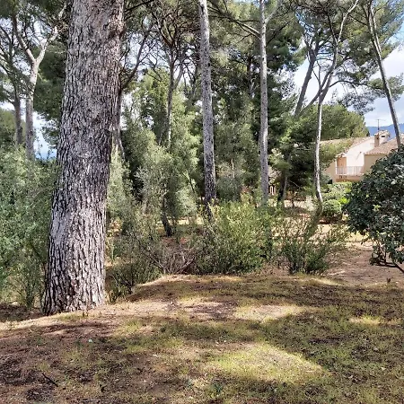 Manon A2 Proximité Avec Terrasse Et Parking * Les Lecques